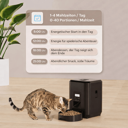 SmartFeed Cat - Marcelina - Shop